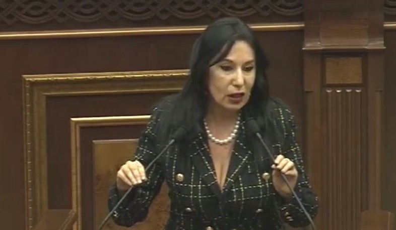 Օրակարգային խնդիրներ ունենք, բայց հանրությանը մատուցում ենք կեղծ բանավեճ. Զոհրաբյան