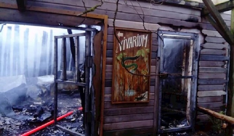 Ֆրանսիայի կենդանաբանական այգու հրդեհից սատկել է 60 կենդանի