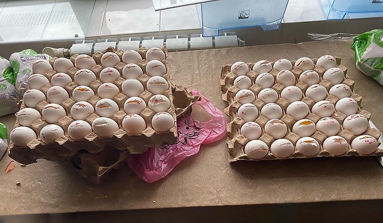 Գյումրիի դպրոցներից մեկում ժամկետանց սննդամթերք է հայտնաբերվել