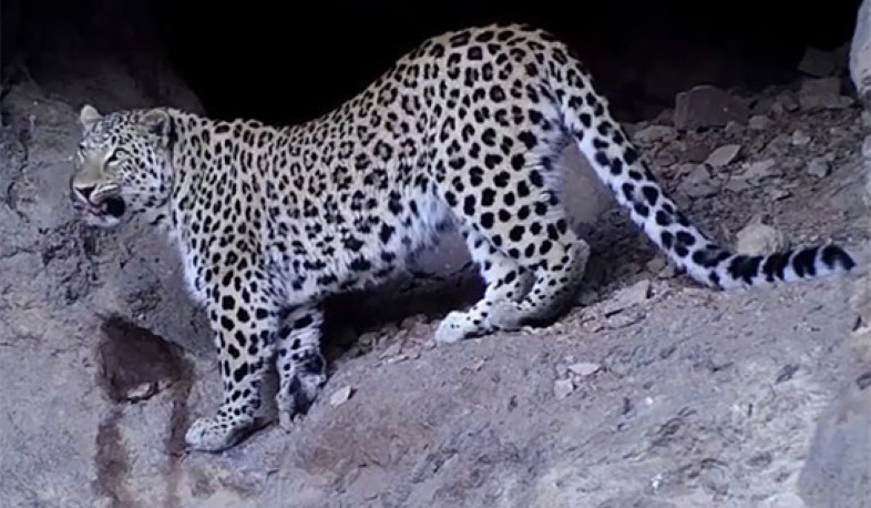 29 միլիոն՝ «Արփա» պահպանվող լանդշաֆտին