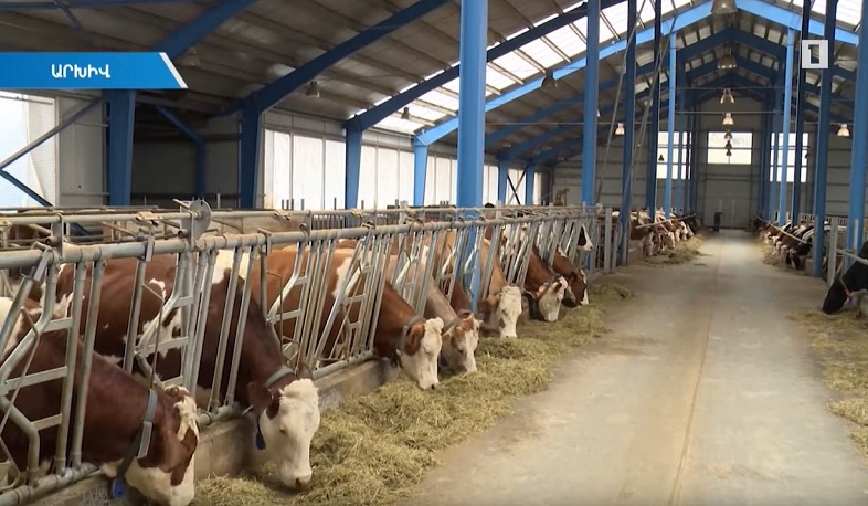 Պետական աջակցություն՝ գյուղատնտեսությամբ զբաղվողներին