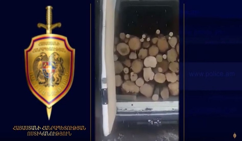 Ապօրինի ծառահատման դեպք Գորիսում