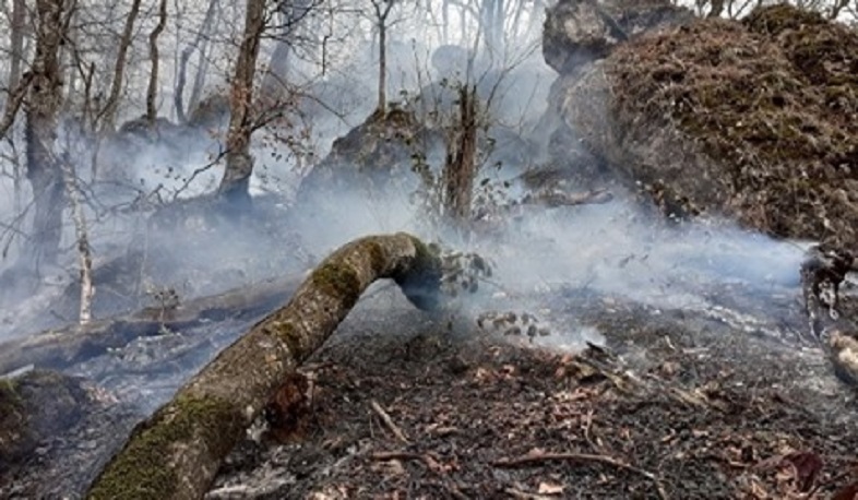 Հրդեհ «Սայինի ճաղատ» և «Լղոց» կոչվող հանդամասերում