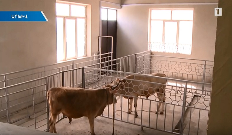 Սպանդանոցային բիզնես սկսելու պայմանները հստակեցված են ու մատչելի