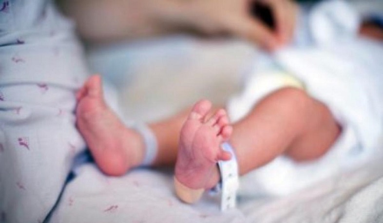 Երեխաների ապօրինի որդեգրման գործով մեղադրյալ Անուշ Գարսանցյանը կմնա ազատության մեջ