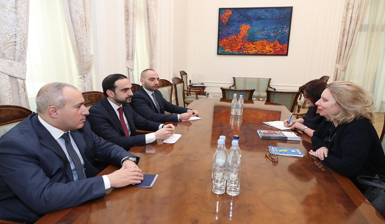 Տիգրան Ավինյանն ընդունել է Եվրոպայի խորհրդի գրասենյակի ղեկավարին