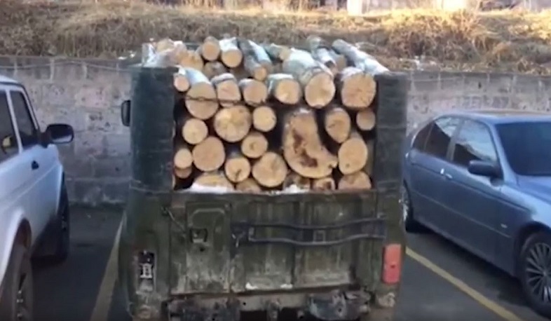 Տավուշի մարզում ապօրինի ծառահատման դեպք է բացահայտվել