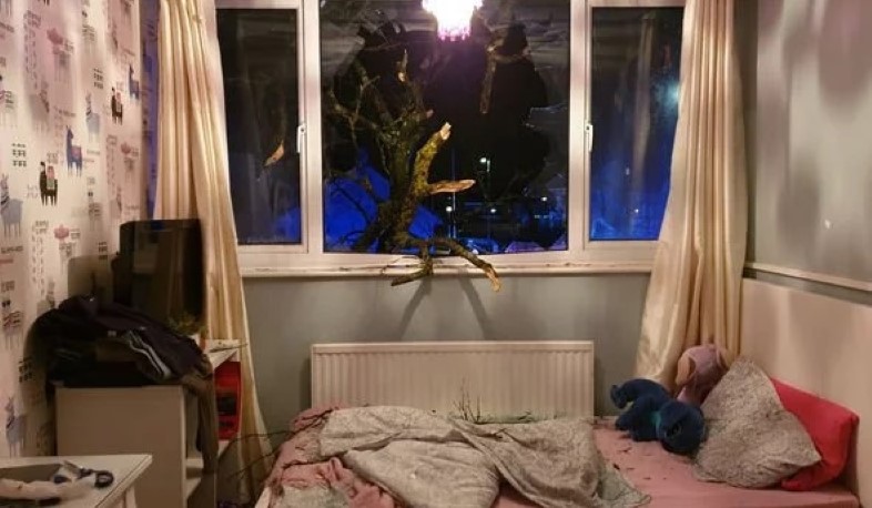 «Դենիս» փոթորիկից պոկված ծառը «ներխուժել» է բնակարաններ