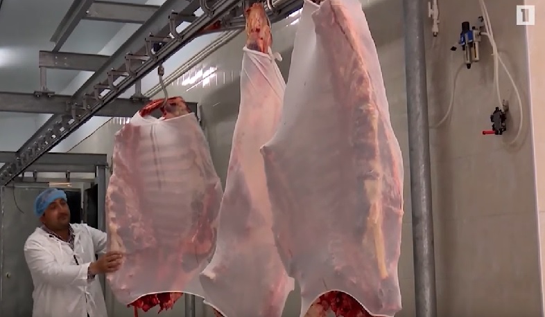 272 հայտ՝ սպանդանոց կառուցելու համար