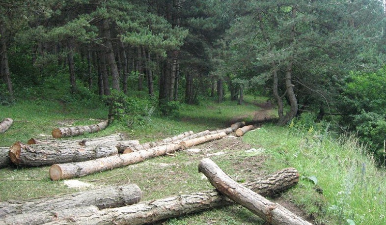 Շրջակա միջավայրին հասցվել է մոտ 5 մլն դրամի վնաս