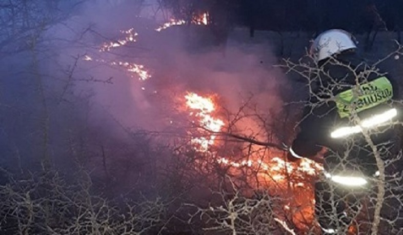 Դիլիջան քաղաքի «Շլորկուտ» կոչվող հանդամասում այրվել է 5000 քմ խոտածածկույթ
