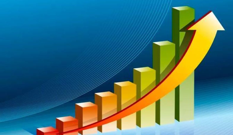 Փայլուն տնտեսական տարի ենք սկսել. Փաշինյան