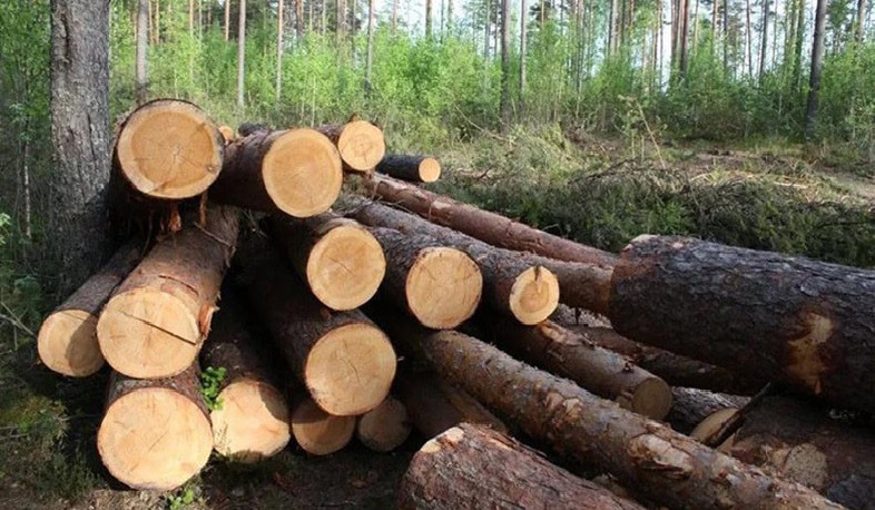 2019-ին Տավուշում անտառահատումների վնասի վերականգնման ցուցանիշը աճել է 3,8 անգամ