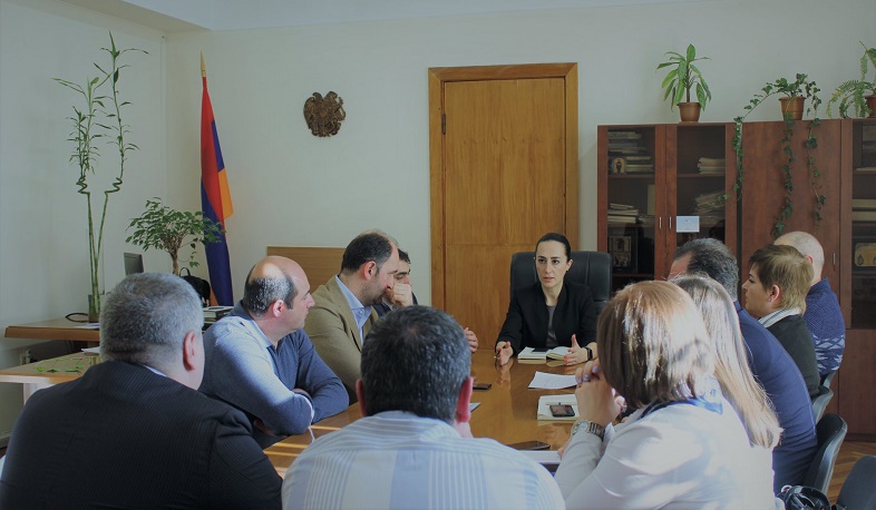 Շրջակա միջավայրի նախարարությունում քննարկվել են էլեկտրամոբիլների օգտագործման խթանման ուղղությունները