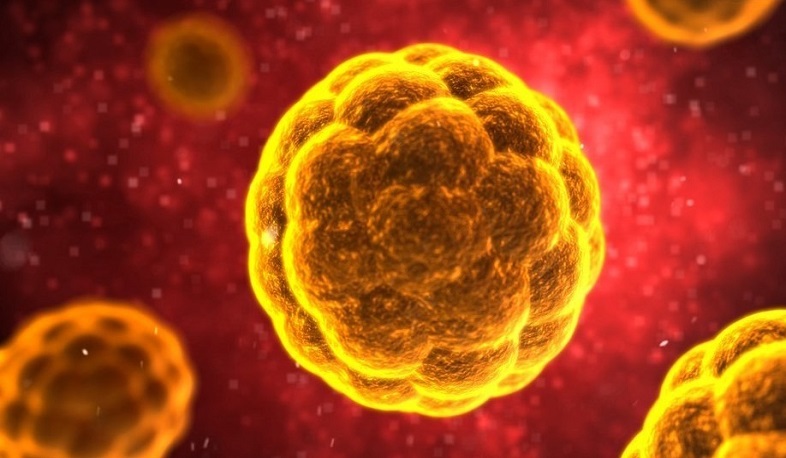 Կորոնավիրուսի երրորդ դեպքը՝ Վրաստանում