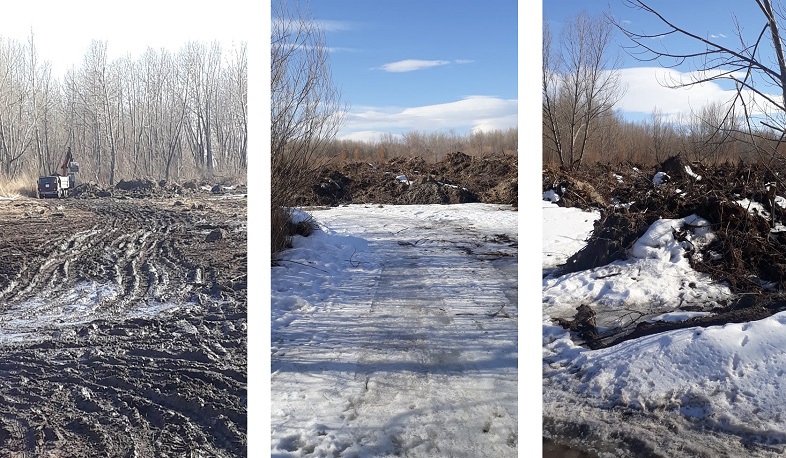 Անտառմաքրման աշխատանքներ Սևանա լճի ջրածածկ տարածքներում