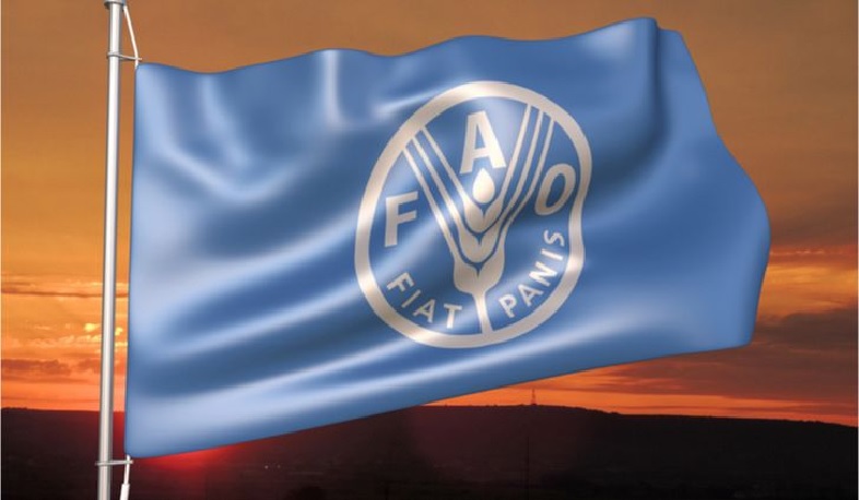 Պարենային ապրանքների համաշխարհային գները փետրվարին նվազել են