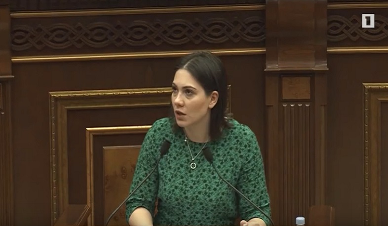 ԱԺ-ին է ներկայացվել բռնության կոչերը քրեականացնելու նախագիծը