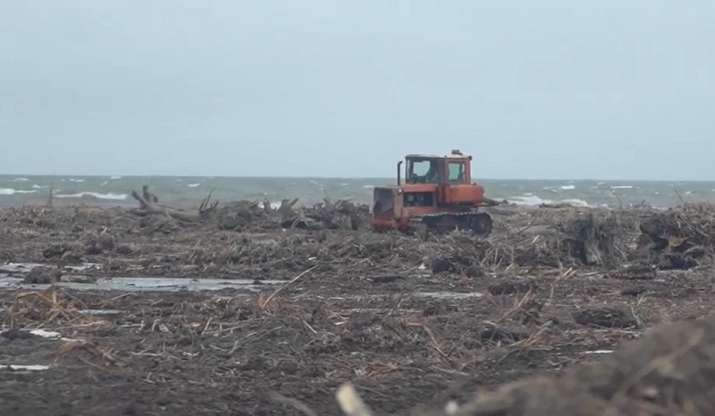 Սևանա լճի ափամերձ տարածքները մաքրելու համար հատկացվել է 570 միլիոն դրամ. Ավինյան