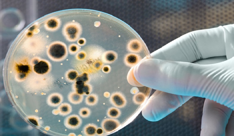 «Հեզբոլլահի» առաջնորդ Հասան Նասրալլան վարակվել է կորոնավիրուսով. MAKO