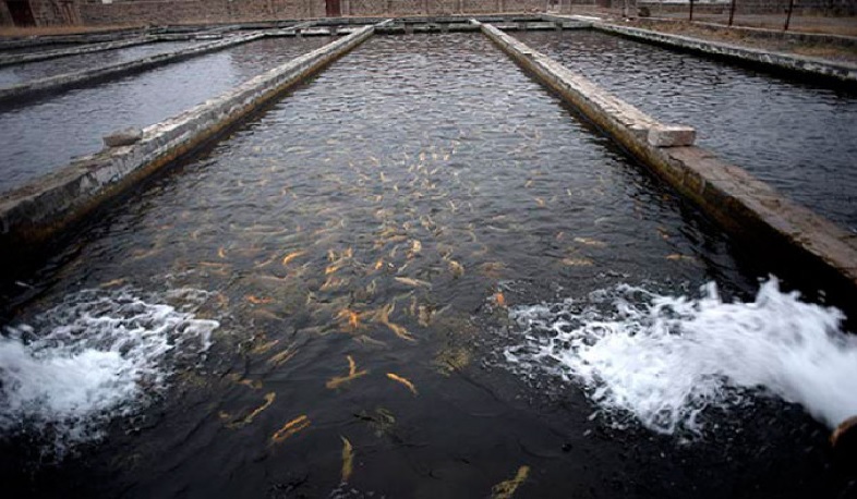 ՔՏՀԱ տեսչական մարմինը ձկնաբուծական լճերի գործով դիմել է դատախազություն