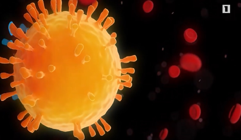 Ինչ անել կորոնավիրուսի տարածումը կանխելու համար