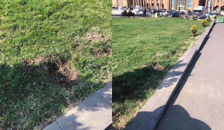 Ծառերի գողություն Էրեբունիում