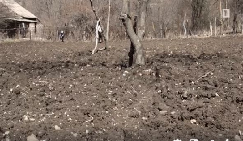 Տավուշի Խաչարձանում և՛ կորոնավիրուսի կանխարգելման ցուցումներին են հետևում, և՛ գարնանացան են անում