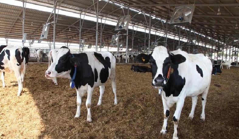 5 տարի մարման ժամկետով, 0%-ով մինչև 300 միլիոն դրամի վարկեր ֆերմերներին