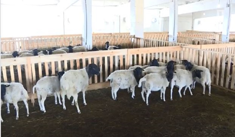 Նոր հնարավորություն և՛ բիզնես սկսելու, և՛ երկրին օգտակար լինելու համար