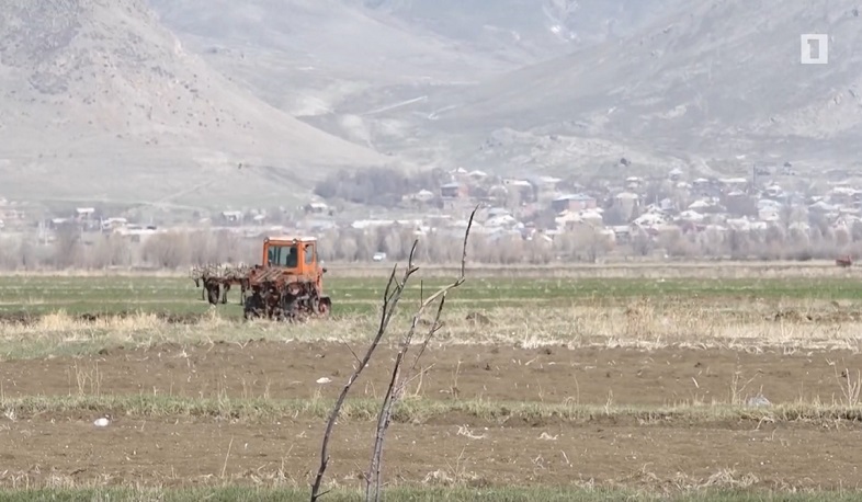 Ախուրյանում գարնանացանը մոտենում է ավարտին. կորոնավիրուսը ստիպում է ավելի շատ բերք ապահովել