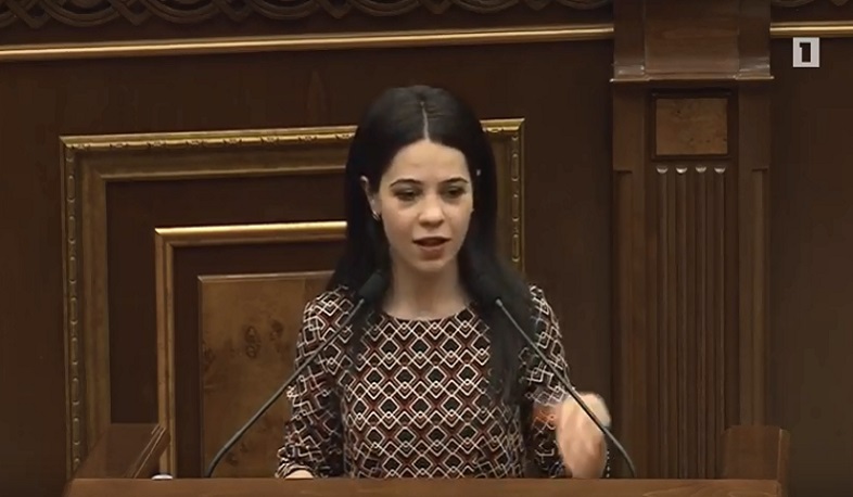 Ընդդիմադիրներն անպատասխանատու պահվածք դրսևորեցին. Տաթևիկ Հայրապետյան