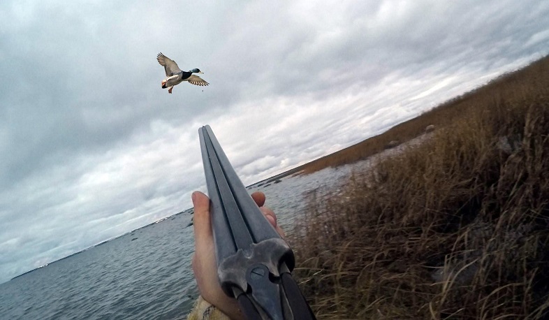 Բացահայտվել է թռչնի ապօրինի որսի դեպք