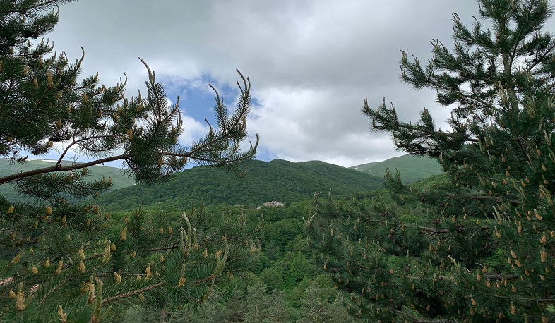 Վահե Մացակյանը՝ «Հայանտառ» ՊՈԱԿ-ի տնօրեն