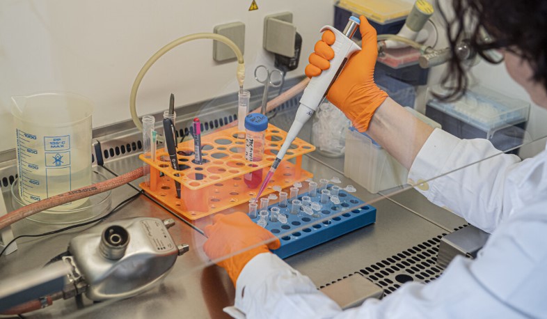 Կորոնավիրուսի դեմ պայքարի առաջնագծում բուժաշխատողներն են․ Թորոսյան