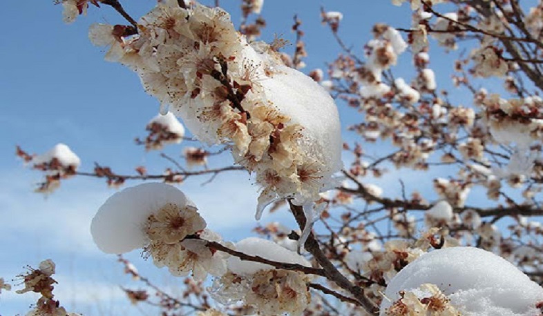 Հանրապետության հովտային և նախալեռնային գոտիներում ցրտահարության վտանգ կա