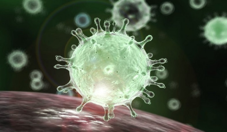 Կորոնավիրուսը հարևան երկրներում. РИА Новости