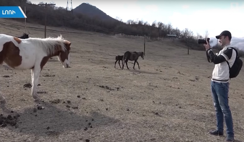 Աշնանացանն այլևս չի փրկվի, գարնանացանն էլ պատահականության հույսին է. երաշտ Լոռիում