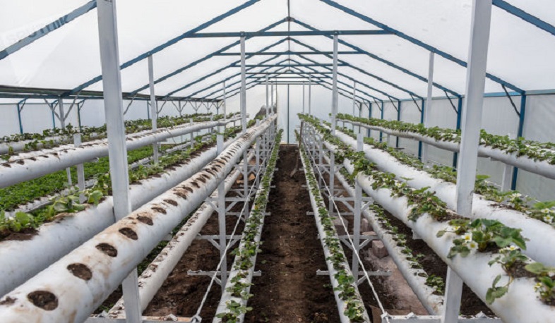 Այս գիշեր ծածկեք ջերմոցներն ու կատարեք ջեռուցում․ Սուրենյանը՝ գյուղատնտեսներին