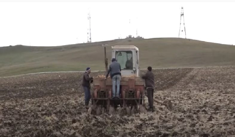 Լոռու մարզի Ստեփանավանի տարածաշրջանում շարունակում են գարնանացանը