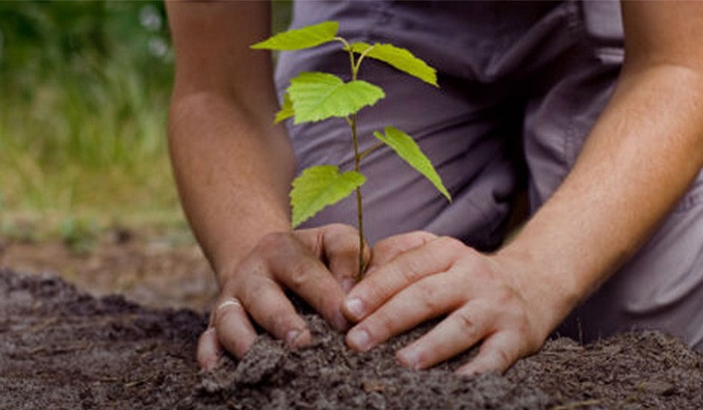 10 մլն ծառ տնկելու նախաձեռնությունը կիրականացվի 2021-ին․ ՇՄՆ