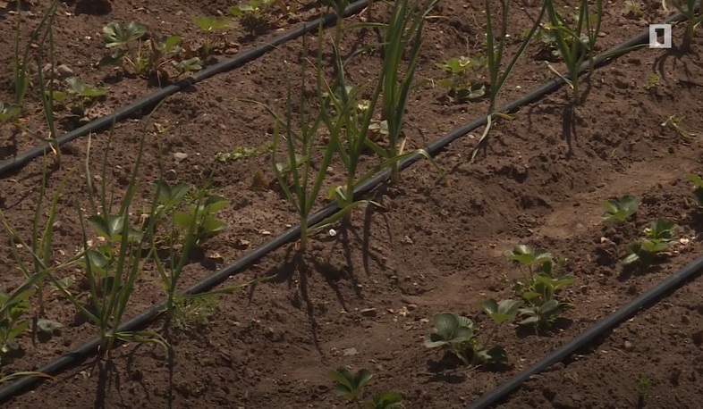 Անտոկոս գյուղատնտեսական վարկերից օգտվողների թիվն ավելանում է