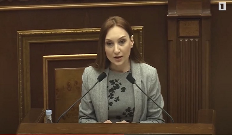 Ապօրինի գույքի բռնագանձման օրինագիծն ամենակարևորն է 7-րդ գումարման ԱԺ-ում. Մակունց