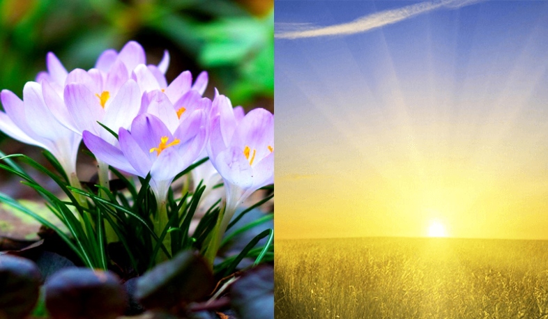 Վաղվանից ձեր արևը հետ կգա. Սուրենյան