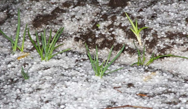 Սպասվում է անձրև, ամպրոպ ու կարկուտ