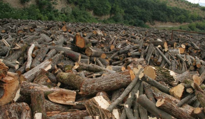 Ոստիկանները միջոցներ չեն ձեռնարկել փայտանյութի ապօրինի տեղափոխումը կանխելու ուղղությամբ. դատախազություն
