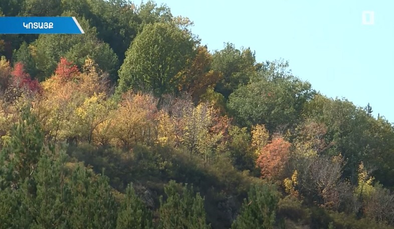 Նախկին պաշտոնյաների սեփականացրած 106 հա անտառային տարածքը կդառնա հանրային սեփականություն