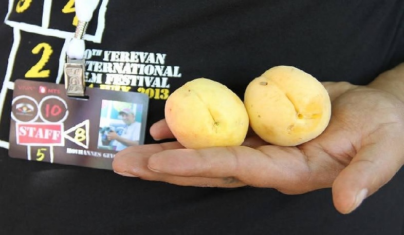 «Ոսկե ծիրան» միջազգային կինոփառատոնը տեղի կունենա նոյեմբերի 1-8-ը