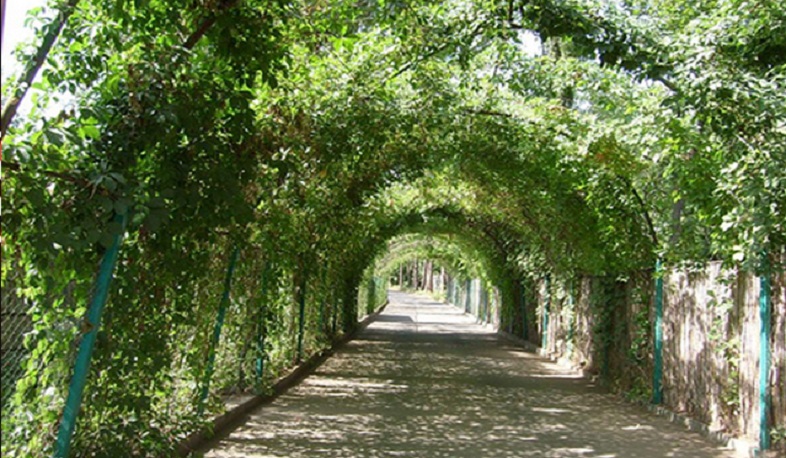 Բուսաբանական այգու վարձակալության տրված տարածքների վարձավճարը գանձվել է կրկնակի ցածր. դատախազություն