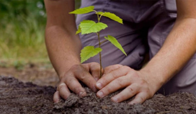 Երկշաբաթյա աշխատանք՝ օրական առնվազն 10 հազար դրամ աշխատավարձով. 15-րդ միջոցառման մանրամասները
